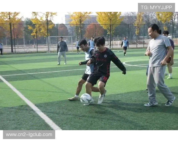 悠闲羊群在绿茵场上漫步吃草足球比赛中展现别样风采